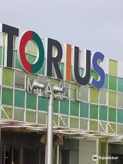 TORIUS