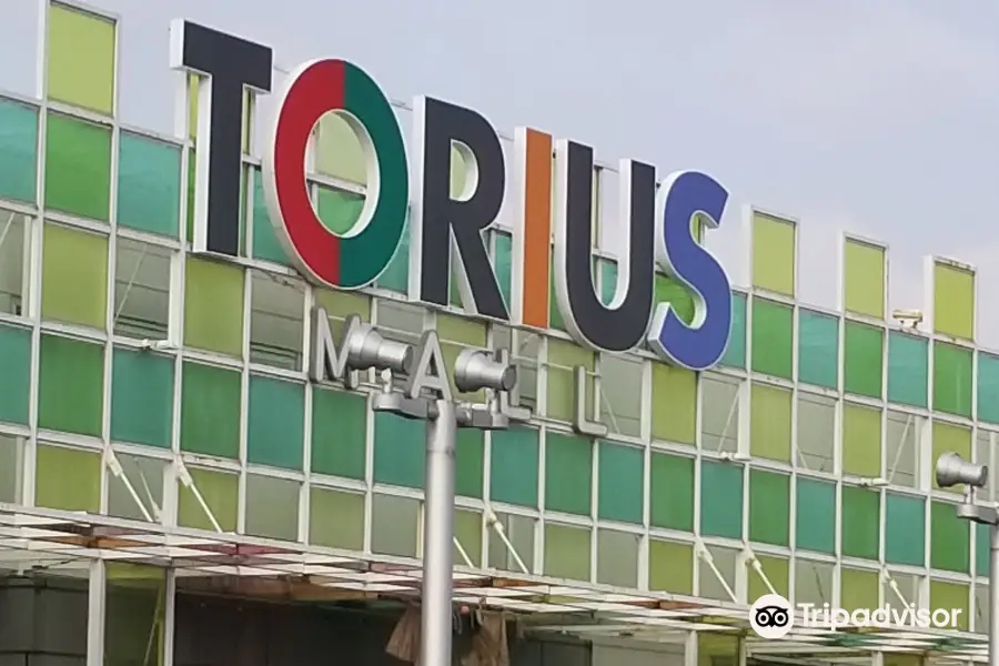 TORIUS