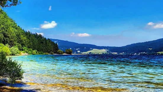 Lac de Joux Trail