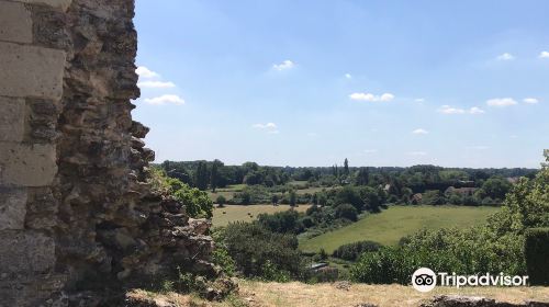 Tour Anne de Bretagne