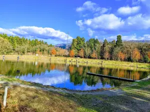 Gozu Fishing Park