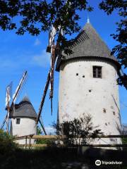 Moulins à Vent Jumeaux du Terrier Marteau