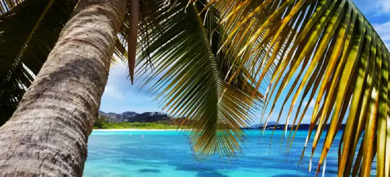 Hoteles en Santo Tomás