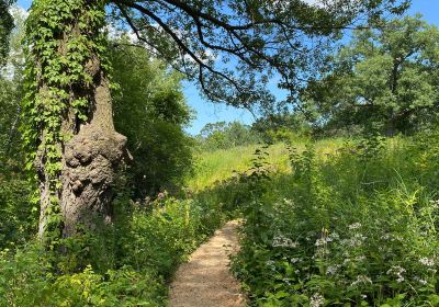 Eloise Butler Wildflower Garden