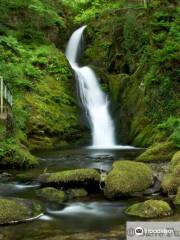 Dolgoch Falls