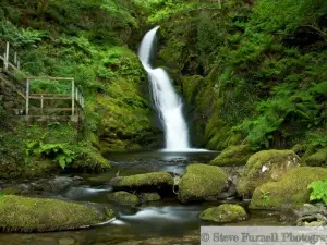 Dolgoch Waterfall