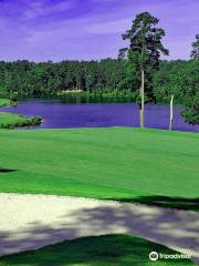 Monticello Golf Club at Savannah Lakes Village