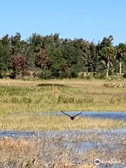 Wellington Environmental Preserve