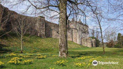 Cockermouth Castle