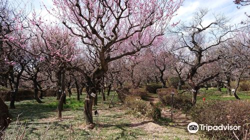 Fukaya Green Kingdom