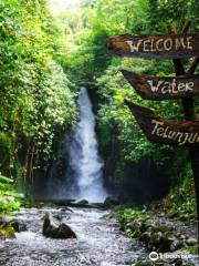 Telunjuk Dewa Raung Waterfall