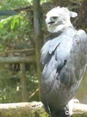 The Belize Zoo