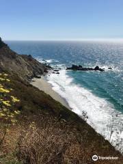 Pfeiffer Big Sur State Park