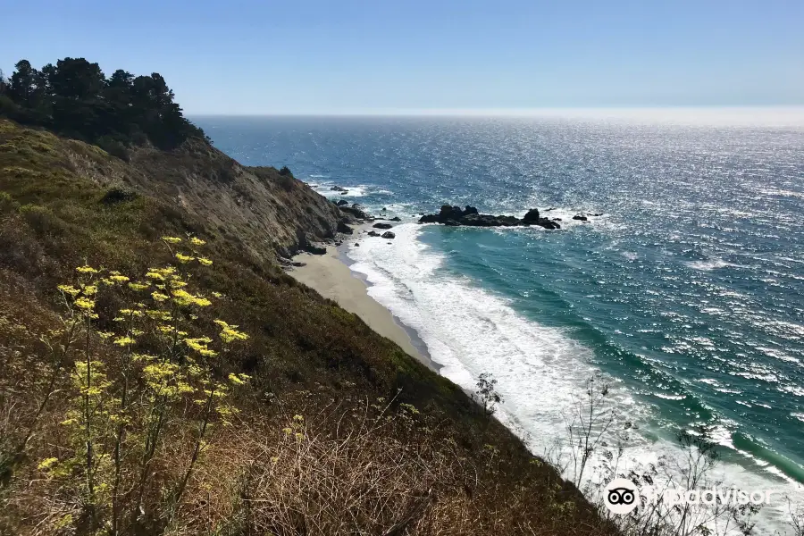 Pfeiffer Big Sur State Park