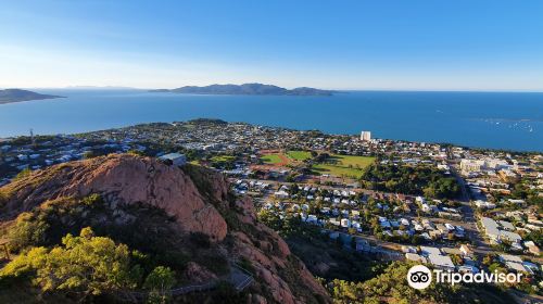 Hynes Lookout