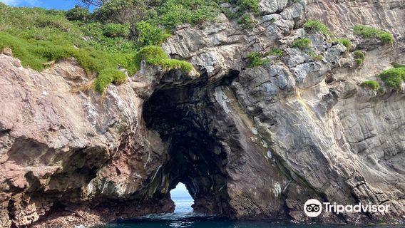 Coromandel Ocean Adventures
