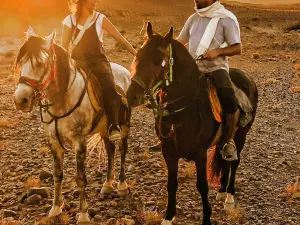 Nomad Horse Riding