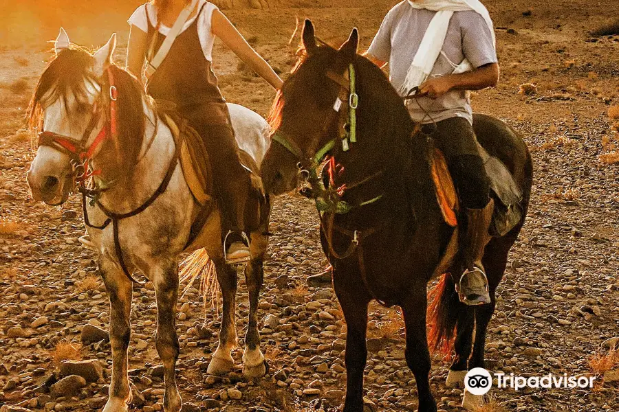 Nomad Horse Riding