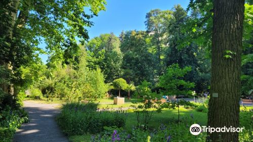 Botanischer Garten Giessen