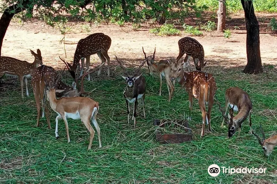 Mahavir Harina Vanasthali National Park