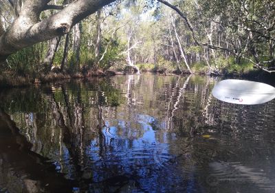 Lake Weyba