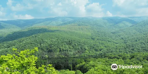 Barbeque on Fruska gora