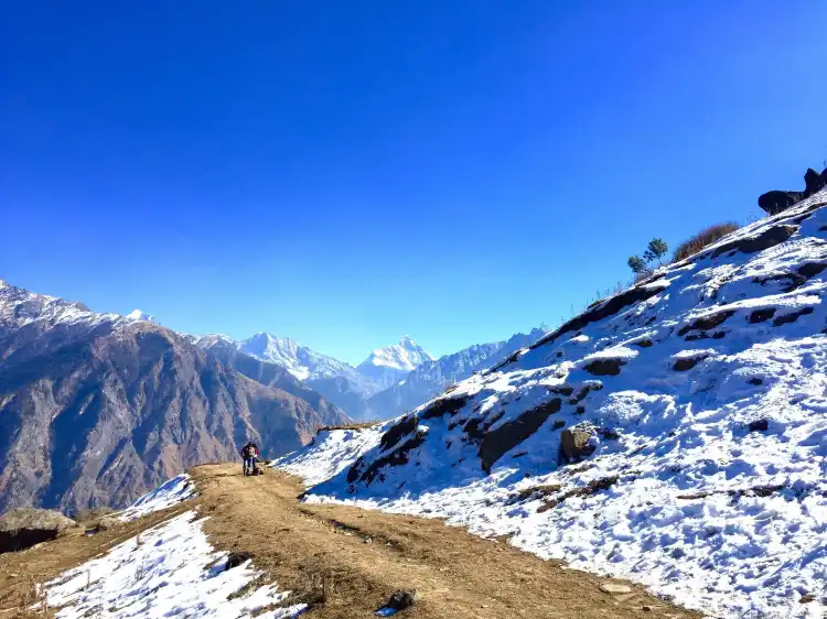 Auli Laga Salude