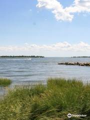 Calf Pasture Beach