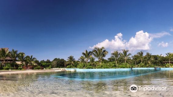 Dolphinaris Riviera Maya