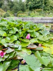 Woodville Walled Garden