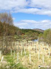 Highland Titles Nature Reserve