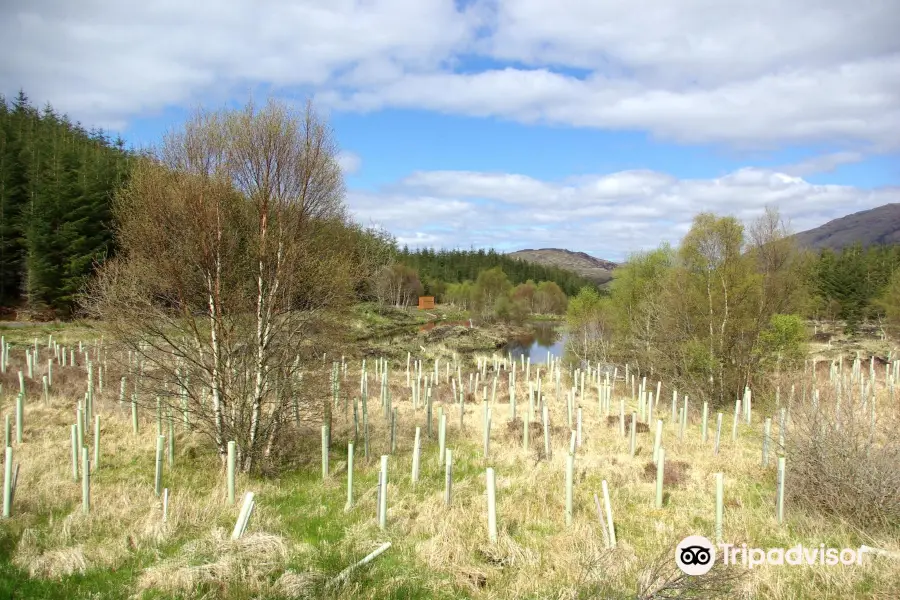 Highland Titles Nature Reserve