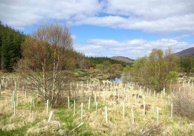 Highland Titles Nature Reserve