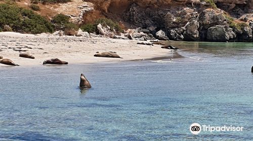 Shoalwater Islands Marine Park