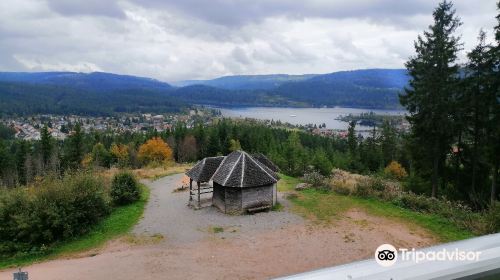 Riesenbuhlturm in Schluchsee