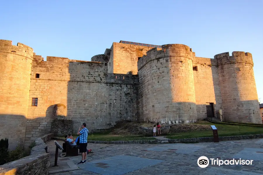 Castillo de Los Condes de Benavente