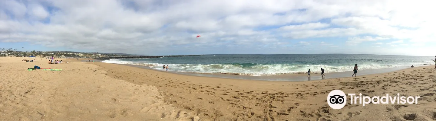 4_The Wedge