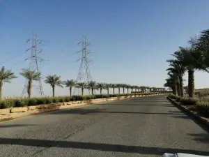 King Salman Park