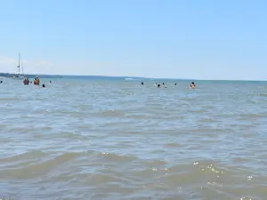 Solé at Woodlawn Beach