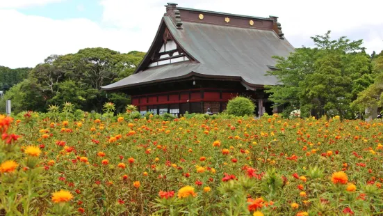 吉ゾウくんのお寺 長福寿寺