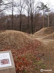 Site of Shinpu Castle