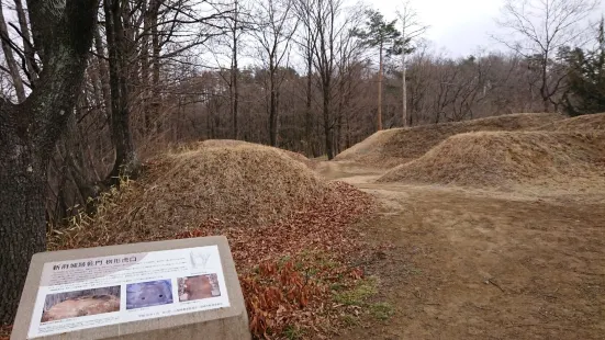 Site of Shinpu Castle