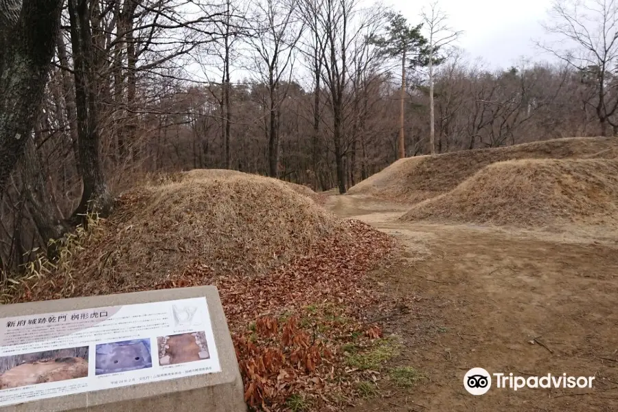 Site of Shinpu Castle