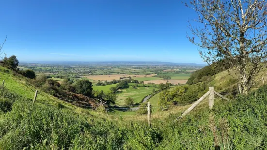 Coaley Peak