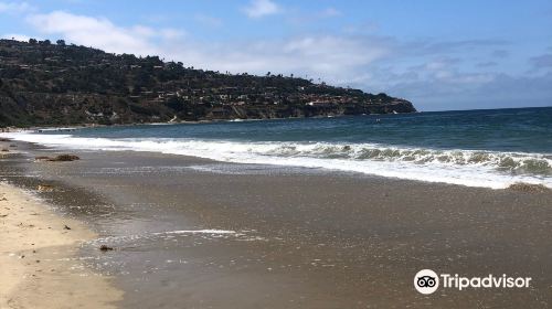 Torrance State Beach