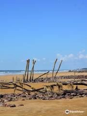 Shankarpur Beach