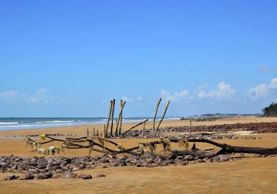 Shankarpur Beach