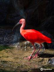 Great Plains Zoo & Delbridge Museum of Natural History