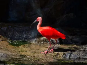 Great Plains Zoo and Delbridge Museum of Natural History