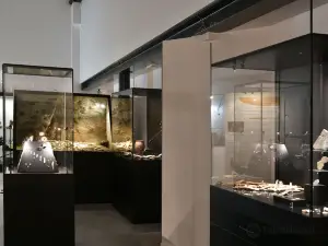 Museum of Malgré-Tout